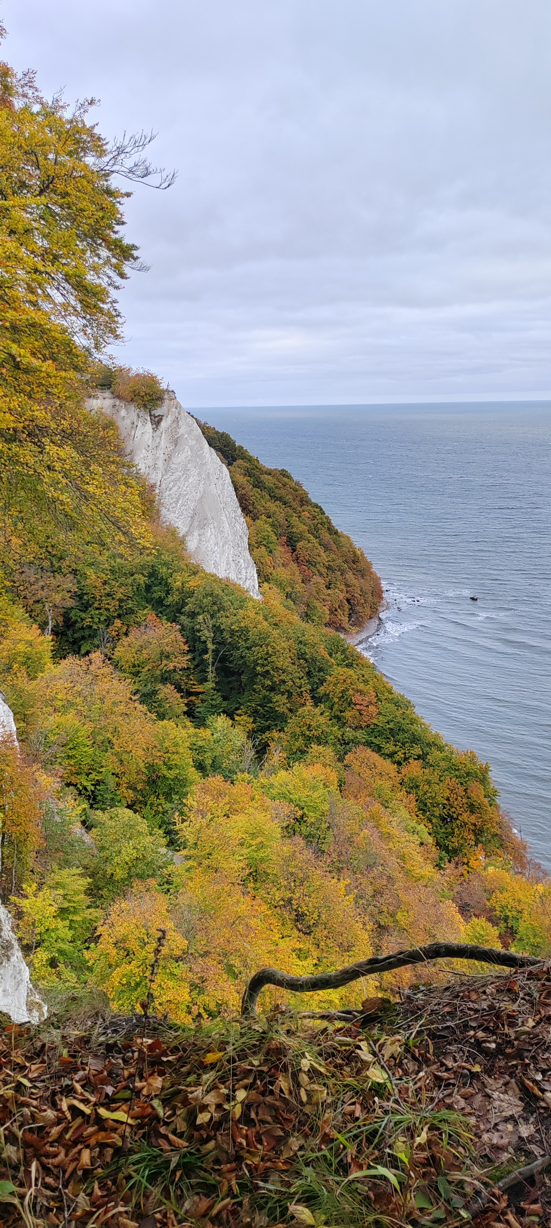 Nationalpark Jasmund mit Kreidefelsen