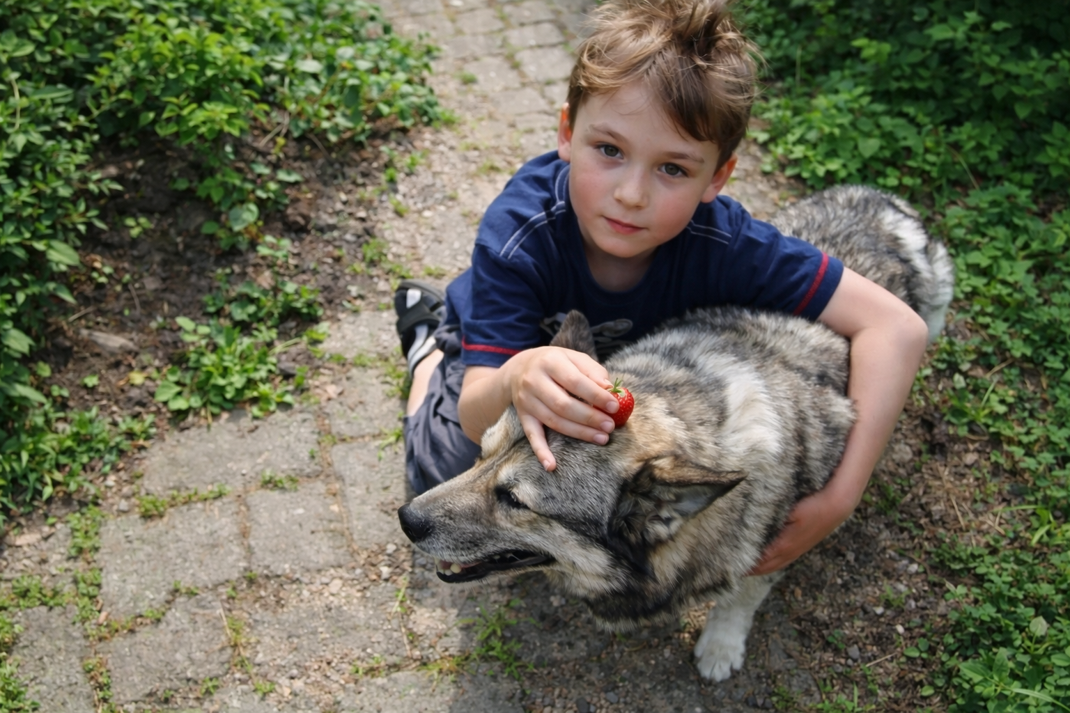 Herz für Kind und Hund