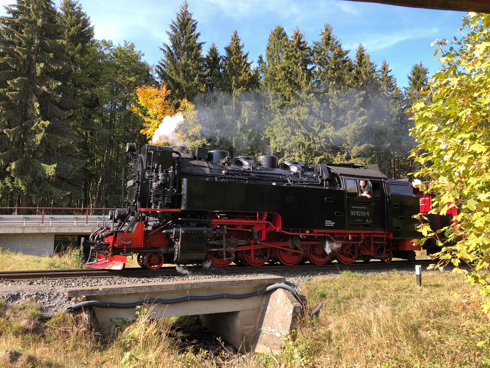Rasender Roland Schmalspurbahn Rügen